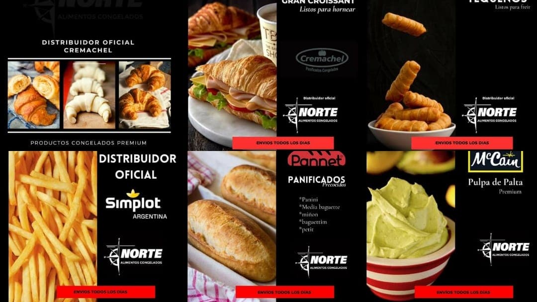 Norte Alimentos Congelados cover